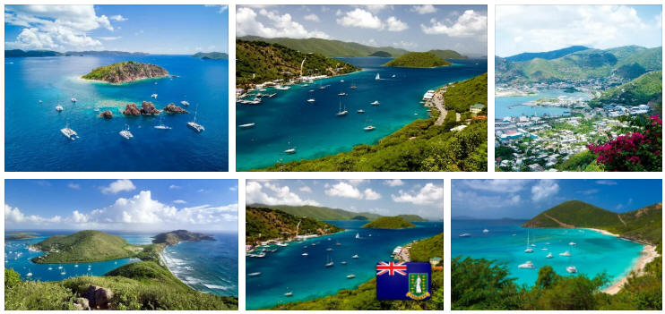 British Virgin Islands, Political System