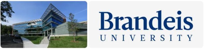 Brandeis University International Business School