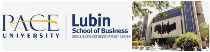 Pace University Lubin School of Business